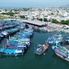 Vietnam building sustainable fisheries sector