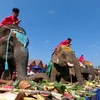 Elephant festival offers unique experience for visitors to Dak Lak