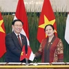 Vietnam attaches importance to promoting ties with Indonesia: NA Chairman