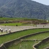 Ha Giang named Asia's leading emerging destination