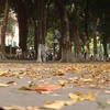 Autumn - The most stunning time to visit Hanoi