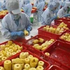 Veggie, fruit exports to China enjoy double-digit growth