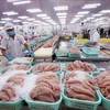 Good news for Vietnam’s tra fish exports to US
