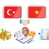 Vietnam, Türkiye promote cooperative relations