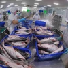 Tra fish markets expected to recover next year