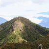 Beautiful route to Ta Xua Peak