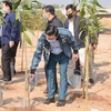 Minister of Natural Resources and Environment Tran Hong Ha attends the ceremony to launch the New Year Tree Planting Festival and respond to the Government’s programme to plant one billion trees during 2021-2025. (Photo: VietnamPlus)