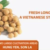 Fresh longan - A Vietnamese staple