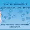 What are purposes of Vietnamese internet users?