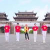 Korean sings Vietnamese in new music video