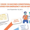 Eight COVID-19 vaccines conditionally approved for emergency use in Vietnam