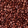 Coffee exports this year may hit 4 billion USD