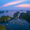 Vietnam has been very high on the shortlist for Indian visitors thanks to its kaleidoscope of stunning landscapes and unique culture. (Photo: VNA)