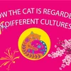 How the cat is regarded in different cultures