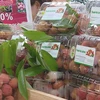 “Golden time” for Vietnam’s lychee exports coming: experts