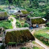 Unique moss-covered homes in Ha Giang