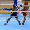 SEA Games 31: Thai kickboxing team aim for top position under guidance of Muay Thai star 