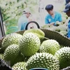 Durian export to China: long-term vision needed