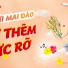 Vietjet transports apricot, peach blossoms on Lunar New Year 2024