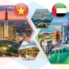 Vietnam-United Arab Emirates cooperative ties