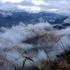 Cloud hunting on Mt Lao Ty Phung