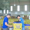 Tapping potential for durian exports to China