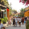 Agoda: Vietnam's coastal attractions capture attention of Korean tourists