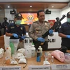 Indonesia arrests militants in bomb attack plot