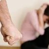 Vietnam sees 20,000 domestic violence cases annually 
