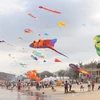 Ba Ria-Vung Tau to host int’l kite festival 