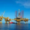 New oil reserve found in Bach Ho well