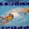 Vietnam tops at Southeast Asian Swimming championship