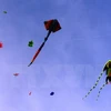 Annual kite fest takes wing in Vung Tau