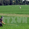 Measures urged to minimise agricultural pollution