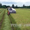 Large scale fields developed in northern region 