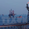 Vietsovpetro taps 5.04 million tonnes of crude oil this year 