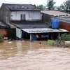 Chinese FM sympathises with Vietnamese flood victims 