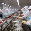 Intensive Sulfadiazine check required for Japan-bound shrimps 