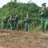 Vietnam, Cambodia border guards hold friendly exchange