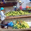 Can Tho works to develop Cai Rang floating market