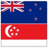 Singapore, New Zealand consolidate defence ties 