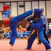 Vietnamese dominate regional Vovinam champs