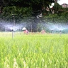 Mekong Delta province makes investment in irrigation