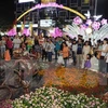 Nguyen Hue flower street opens in HCM City