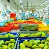 Vietnam targets vegetable, fruit export value at 3 billion USD
