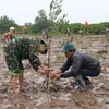 Vietnam stresses wetlands’ role in disaster risk reduction