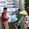  Vietnam uses 11 million tonnes of fertiliser annually