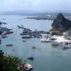 Missing foreign tourist found drowned in Ha Long Bay