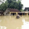 Binh Dinh builds houses for flood victims