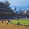 Government approves horse, dog racing gambling